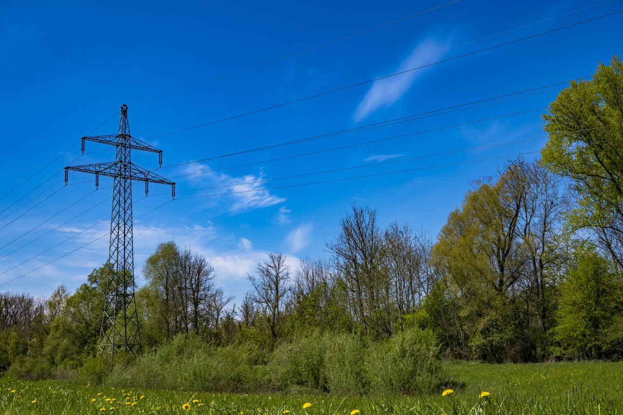Power lines stretch across a vibrant rural landscape with a clear blue sky and green trees.
